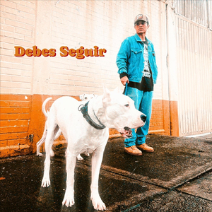 Debes Seguir