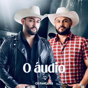 O Áudio