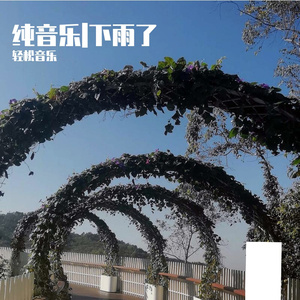 下雨了（纯音乐）小提琴曲