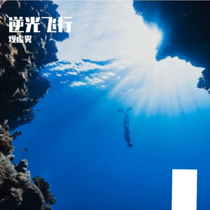 逆光飞行