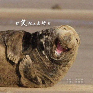 你笑起来真好看