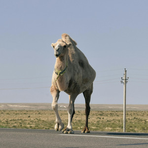 旅愁 - ハーモニカソロ