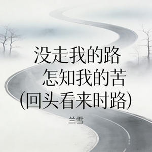 没走我的路怎知我的苦 (回头看来时路)
