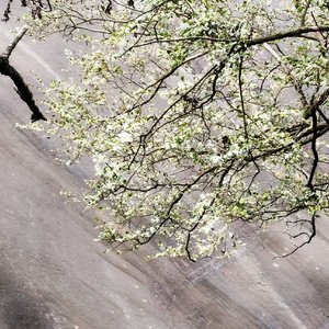 黎 明 前 的 星 辰