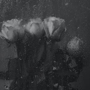 她来听我的演唱会