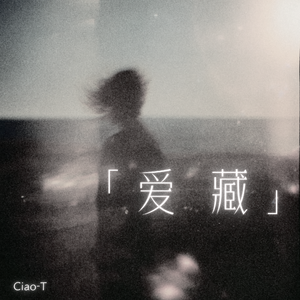 爱藏（沧桑版）