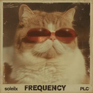 P.L.C. (Frequency)