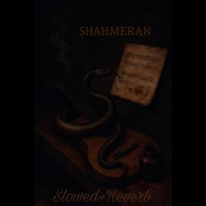 Durmam (Slowed+Reverb)