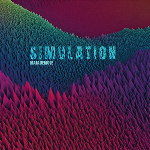 Simulation