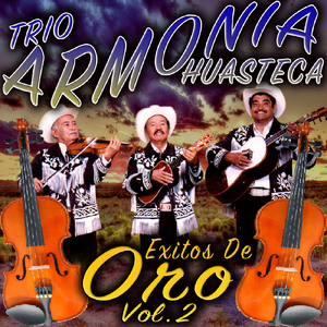 Mi Zimapan