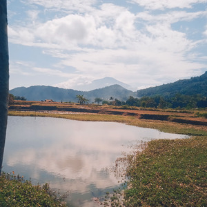 Pengiring suling sunda