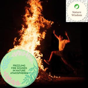 Drizzy Summer Night Fire Sounds