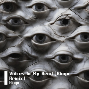 Voices In My Head（Ringo Remix）