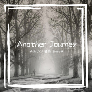 Another Journey