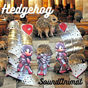 Hedgehog