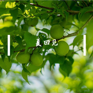 夏回见