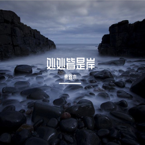 寻岸
