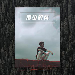 海边的风