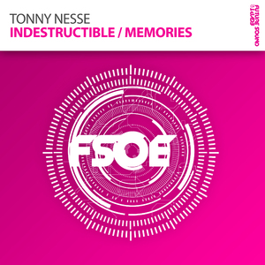 Indestructible (Ahmed Romel Radio Edit)