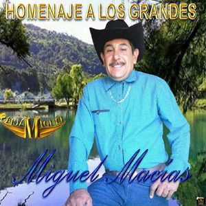 Porque No Fui Tu Amigo