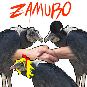 Zamuro
