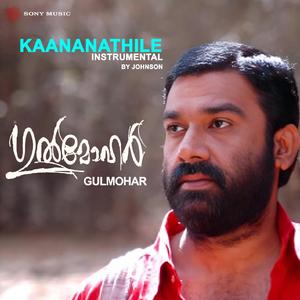 Kaanum Kanninu (Instrumental)