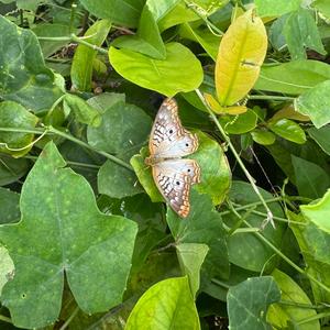 I still miss you....