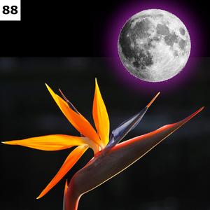 Sun Cycle 4: Approaching Night