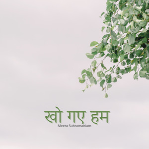 खो गए हम
