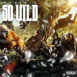 SO WiLD