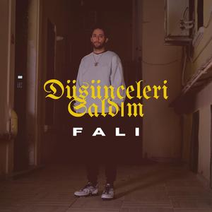 Düşünceleri Saldım