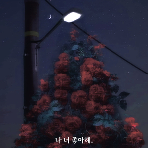 달빛 아래의 비밀