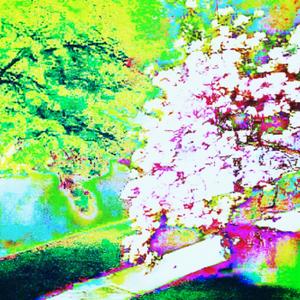 solo existe en instagram (feat. SAAG)