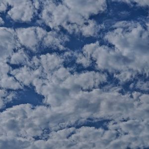 总有一天你会出现在我身边