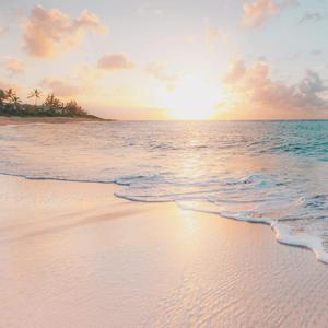 阿扣扣-206（spot remix）