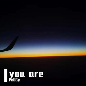 you are（prod by Yzz）