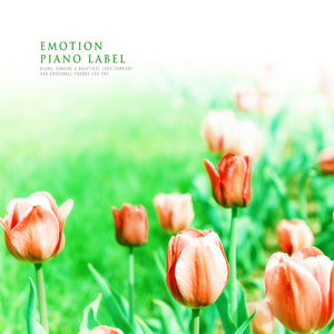 손을 잡고 걸으며 (Nature Ver.)