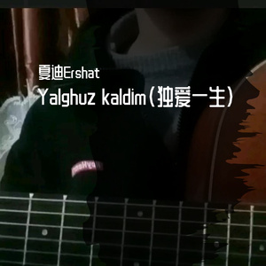 Yalghuz kaldim（独爱一生）Cover：Anzar