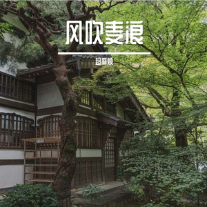 世界中的自我探索