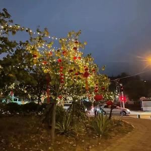 逢雪宿芙蓉山主人