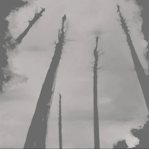 Crust Element