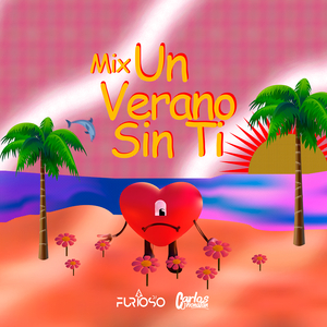 Mix Un Verano Sin Ti