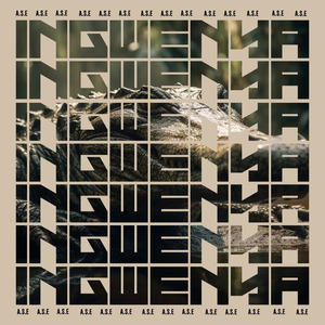 Ingwenya