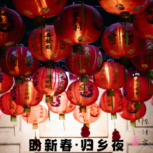 盼新春·归乡夜