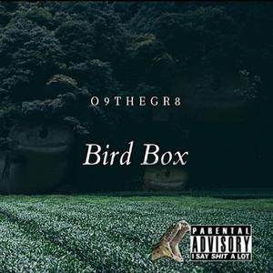 Bird Box