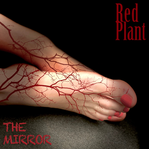 The Mirror