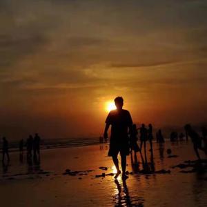 我不是你的宋冬野dome