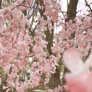 不太懂爱，却给你独一无二