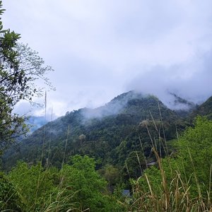 假装不在意，细节里寻你