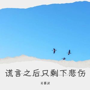 谎言之后只剩下悲伤